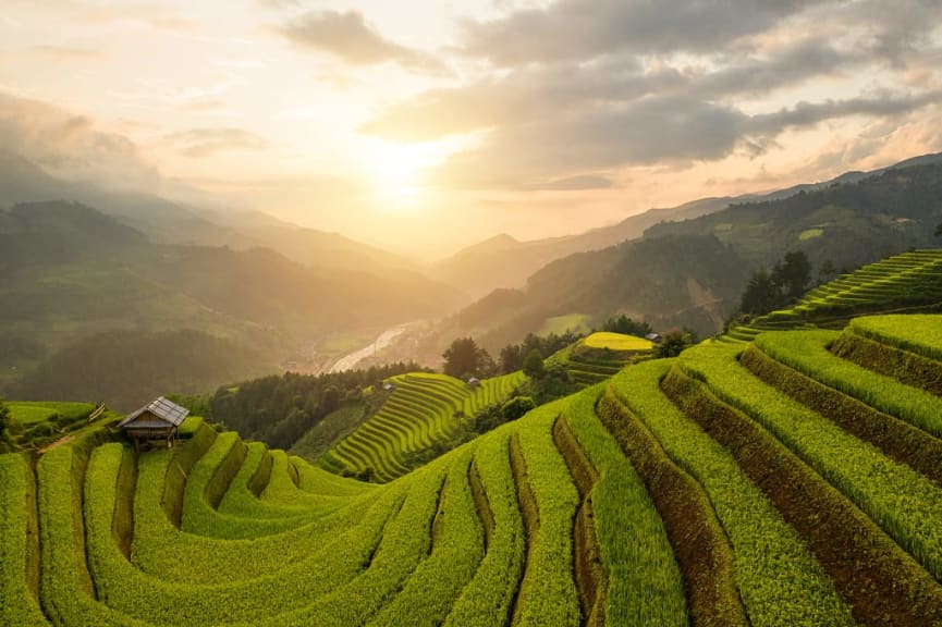 Sunset view of paddy rice terraces in Sapa, Vietnam. 