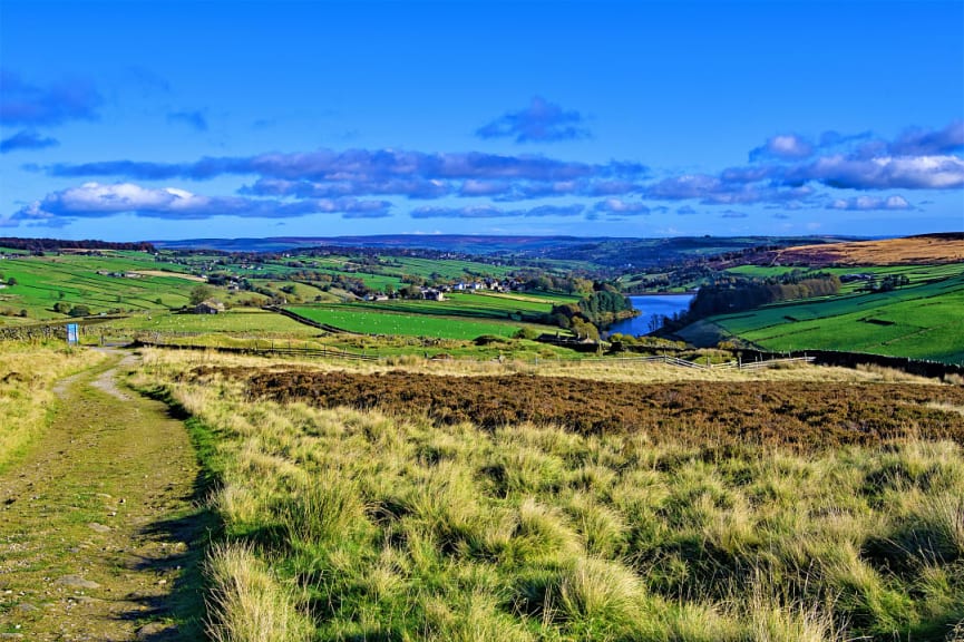 Path through the Lower Withens in Haworth, Yorkshire, England