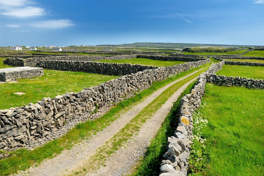 Stone fences of Inishmore Island, the largest of the Aran Islands, County Galway, Ireland