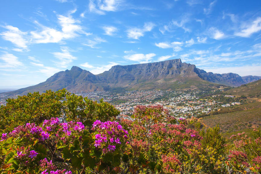 Table Mountain, Cape Town, South Africa