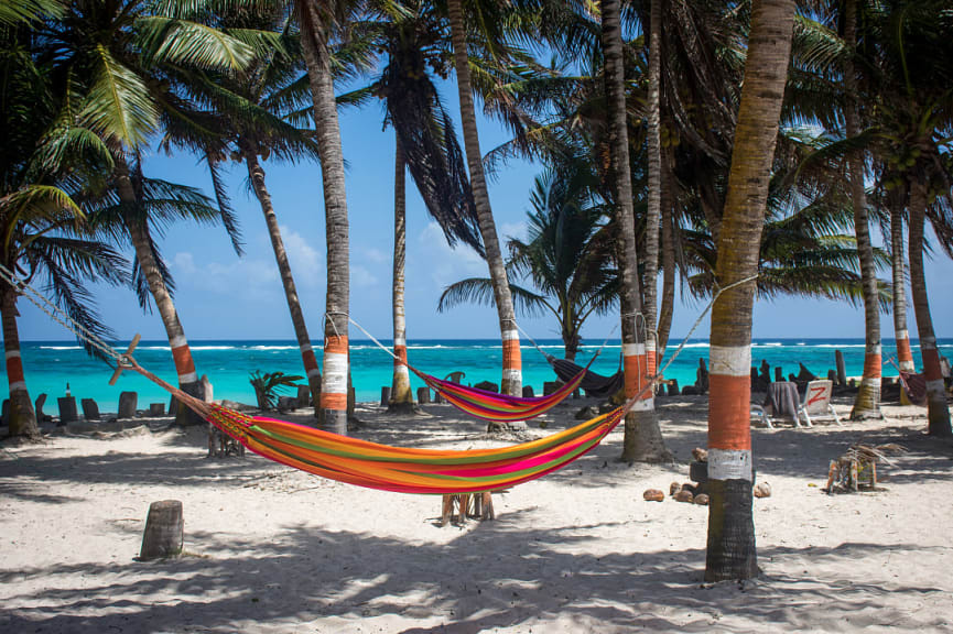 Hammocks hanging from palm trees at Playa San Luis in San Andrés, Colombia