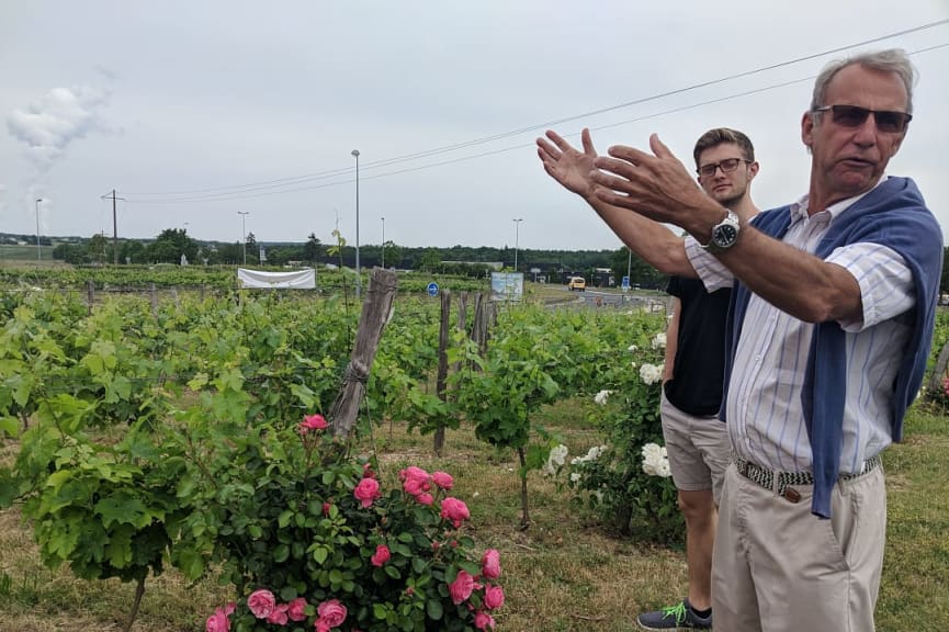 Winemaker at Tracy-sur-Loire, France