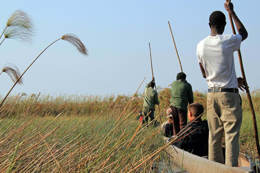 Mokoro ride safari on the Okavango Delta in Botswana