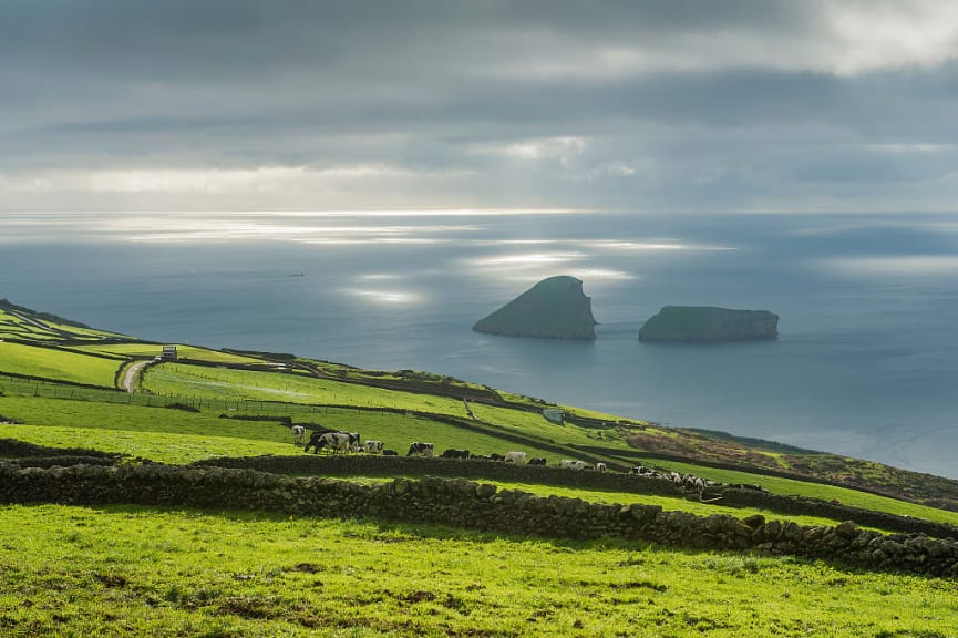 Beautiful rural landscape with islets of Cabras in the background, Terceira island