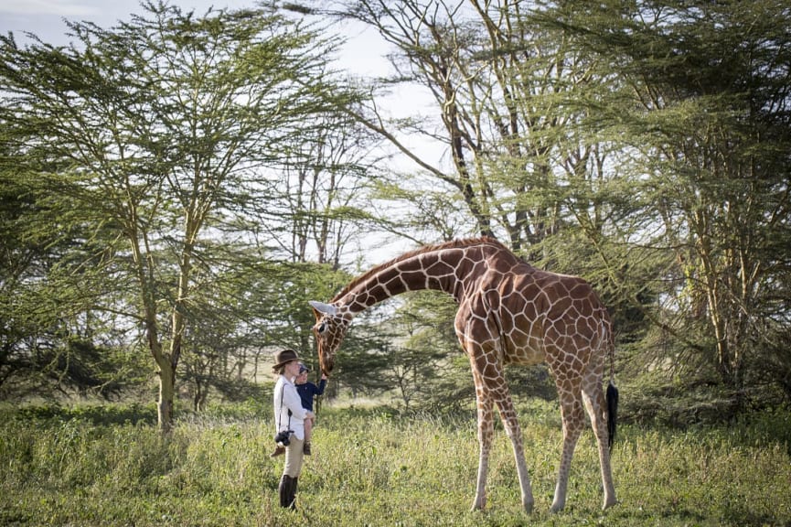 Mother and son saying hi to Nditu, the resident giraffe at Sirikoi Lodge in Kenya. Photo © Niels van Gijn, courtesy of Sirikoi Lodge