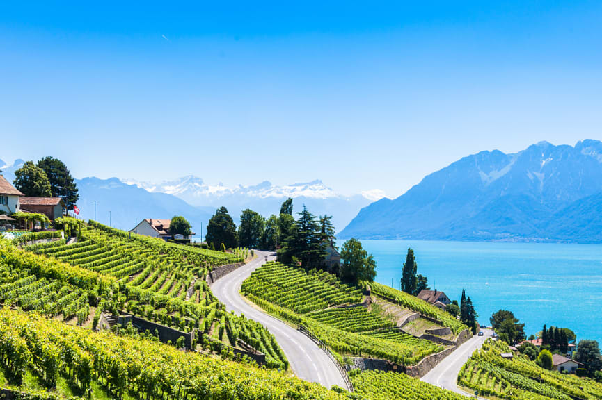 Winery and vineyards in Valais, Switzerland 