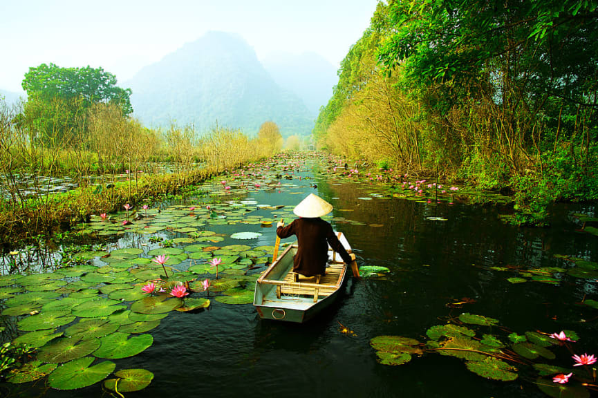 Row boat on Yen Stream with water lilies in Hanoi, Vietnam