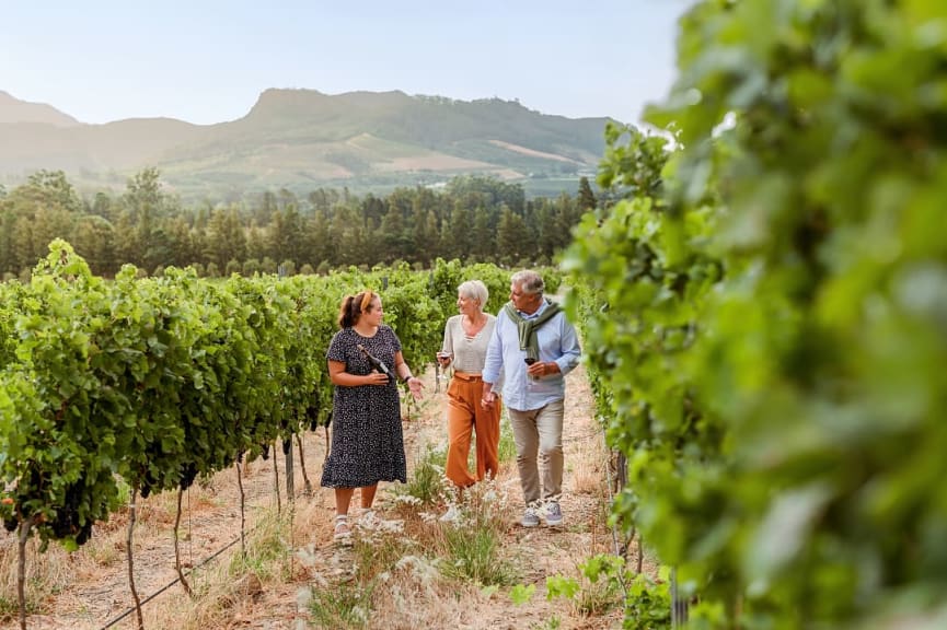 Senior couple touring vineyards in South Africa