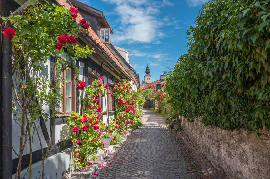 Cobblestone streets in the the Hanseatic Town of Visby, Sweden