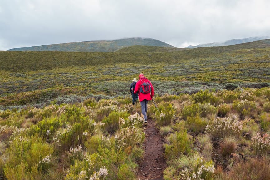 Hikers in Chogoria mount in Kenya