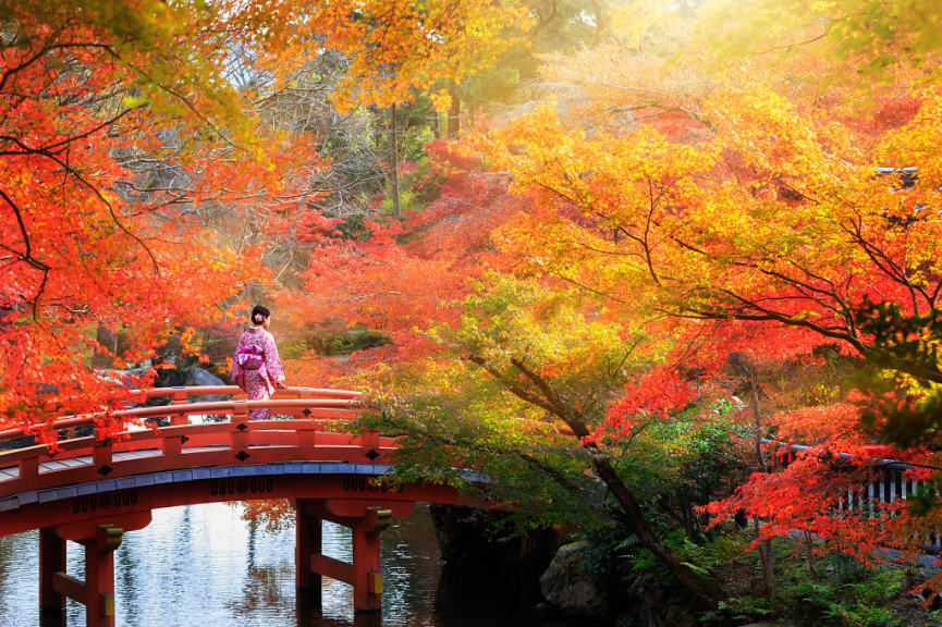 Wooden bridge with autumn foliage at Daigo-ji Temple in Kyoto, Japan