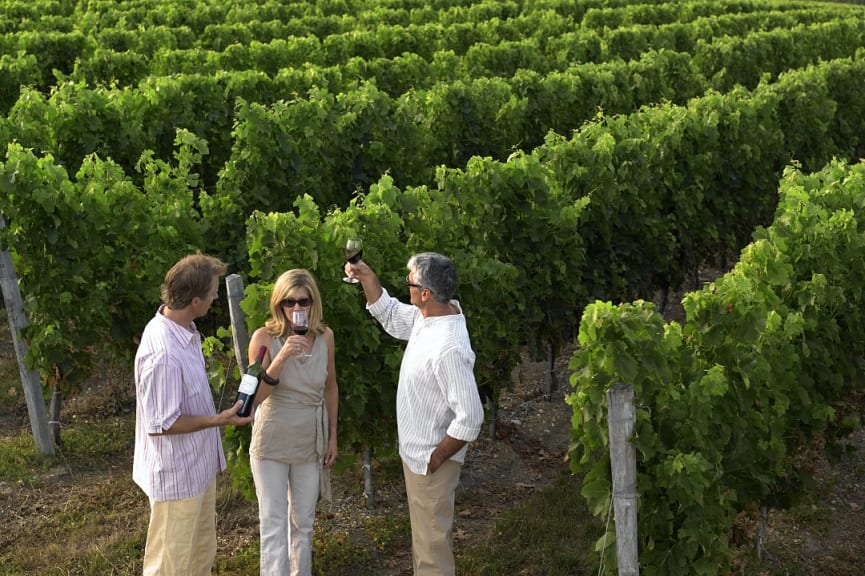 Couple tasting wine at vineyards in Bordeaux, France