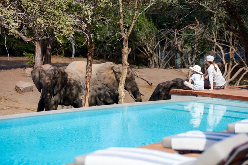 Relaxing by the pool while viewing wildlife at a luxury lodge in Africa