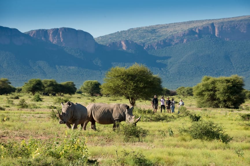 Bush walk with Marataba Safari in South Africa. Photo courtesy MORE Family Collection