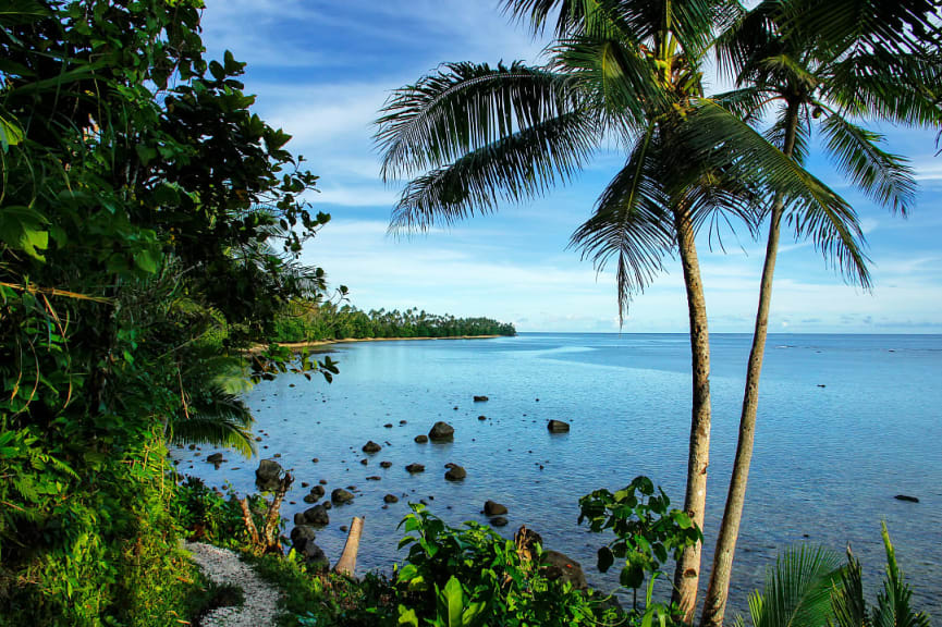 Lavena Coastal walkway on Taveuni Island, Fiji 