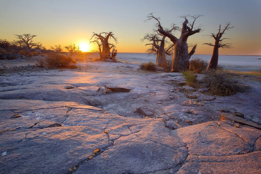 Kubu island with baobab trees in Makgadikgadi, Botswana