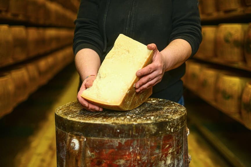 Parmesan cheese in Parma, Italy