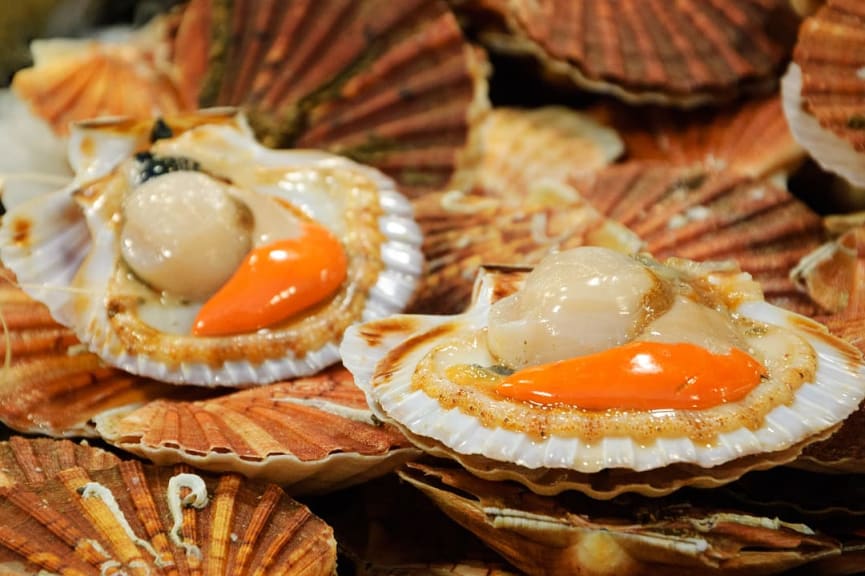 Fresh scallops at Marche des Enfants Rouges market in Paris