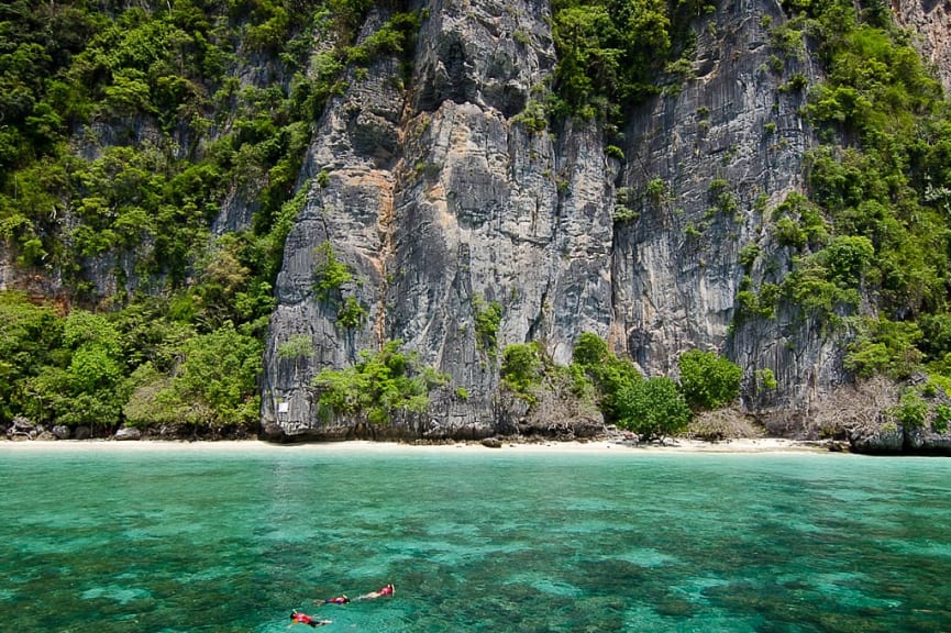 Snorkeling in the Phi Phi island, Thailand