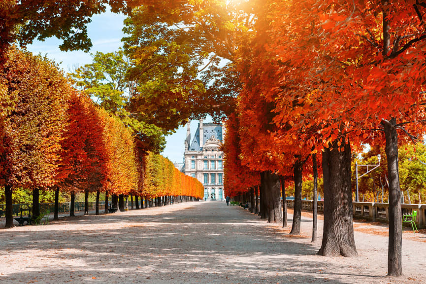 Tuileries Gardens in Paris, France