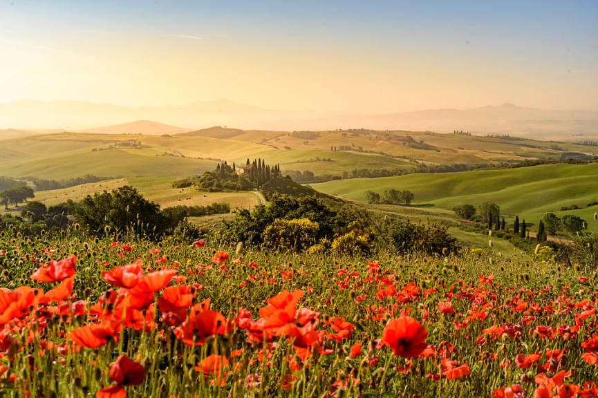Landscape scenery in Tuscany, Italy