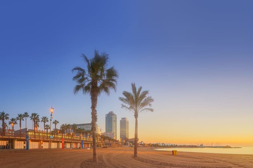 Sandy beach and palm trees and Barceloneta Beach in Barcelona with skyscrapers in the background