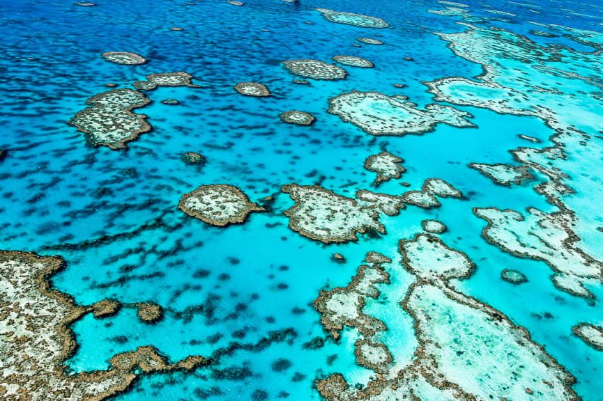 The Great Barrier Reef in Queensland, Australia