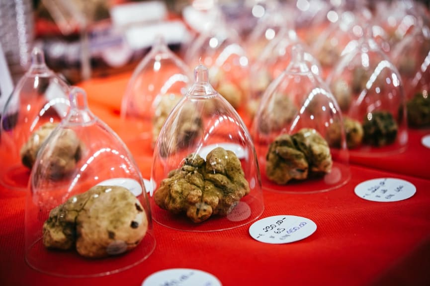 Truffles on sale at truffle festival in Alba, Itlay