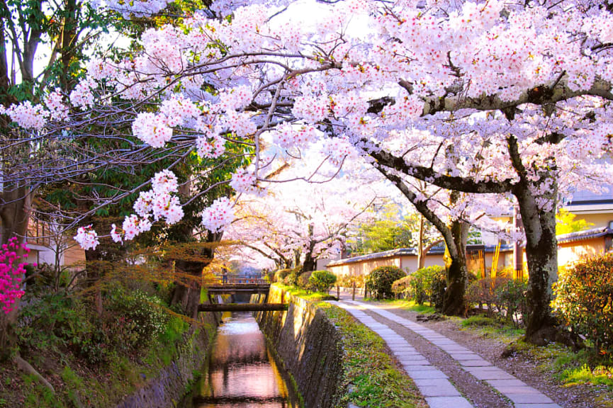 The Philosopher’s Path in Kyoto