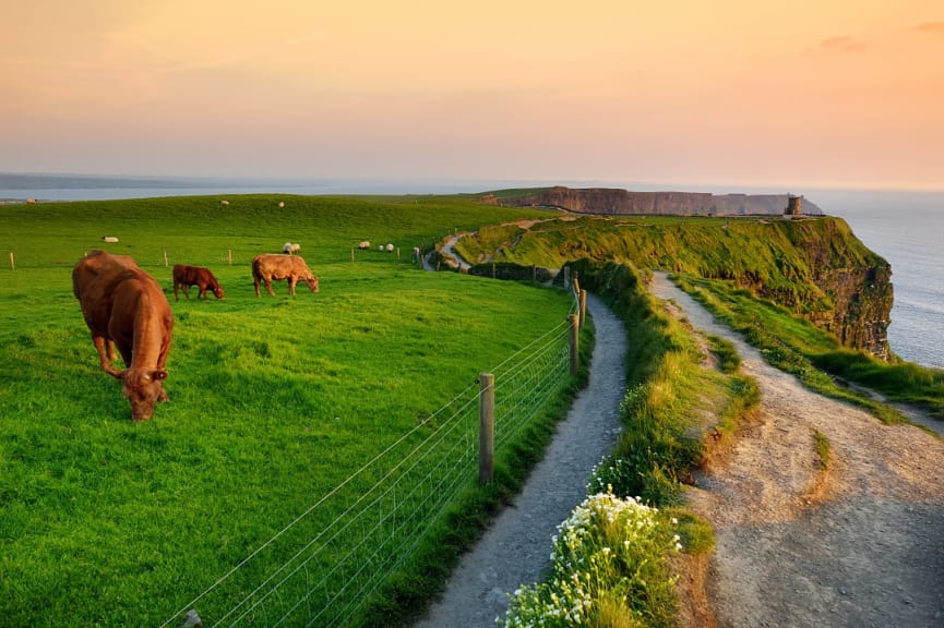 Cliffs of Moher in Ireland