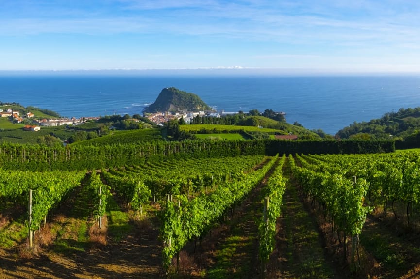 Vineyards with the Cantabrian sea in the background, Getaria, Spain