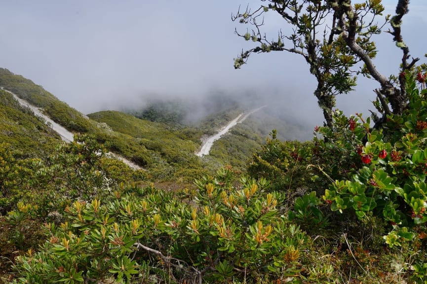 View from the top of Barú volcano in Volcan, Panama