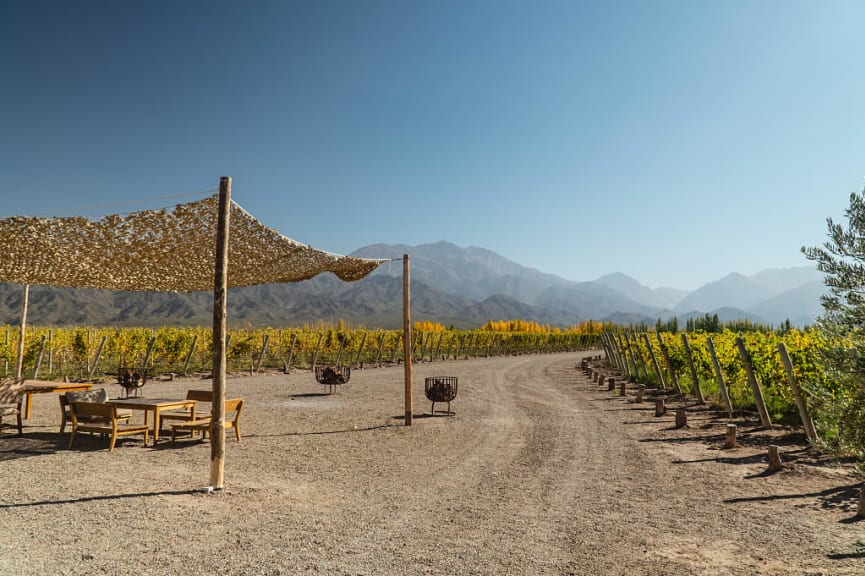 Covered outdoor seating area surrounded by vineyards in Mendoza, Argentina, with mountains in the background