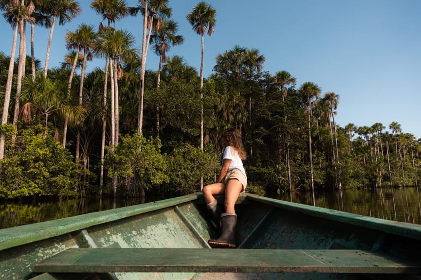 Amazon rainforest in Peru