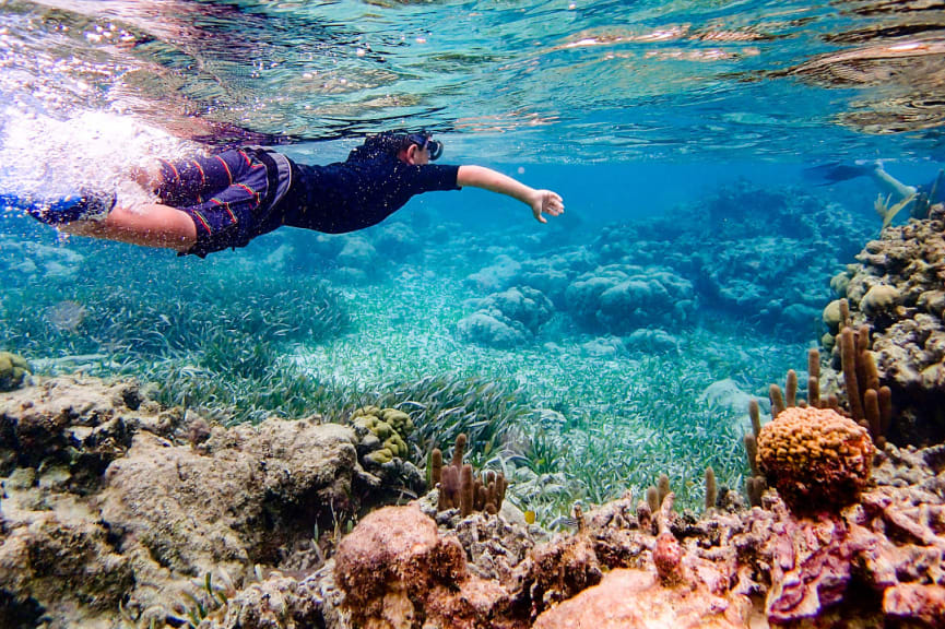 Young boy snorkeling the clear waters of Ambergris Caye, Belize