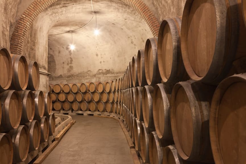 Wine cellar at a vineyard in Ribera del Duero, Spain