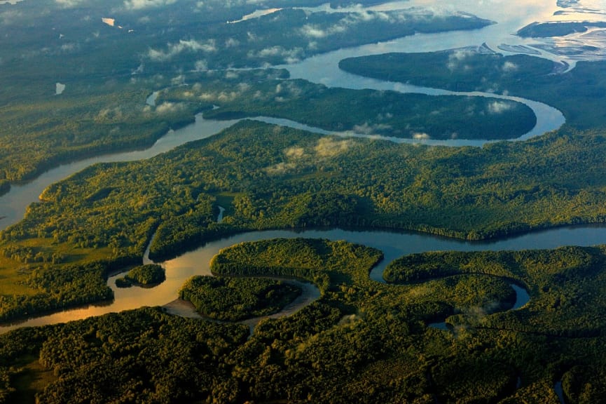 Aerial view of river running thru Corcovado National Park in Costa Rica