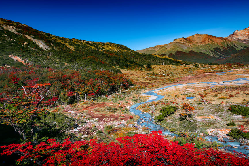 Colorful forest in Tierra del Fuego National Park in Argentina