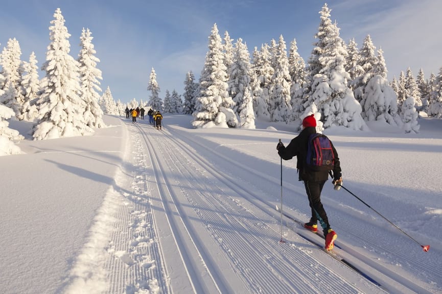 Tourists cross-country skiing in Lillehammer in Norway