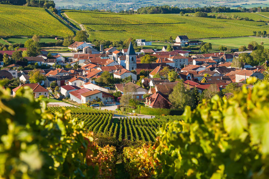 Champagne vineyards surround Baroville village in the Cote des Bar region of France