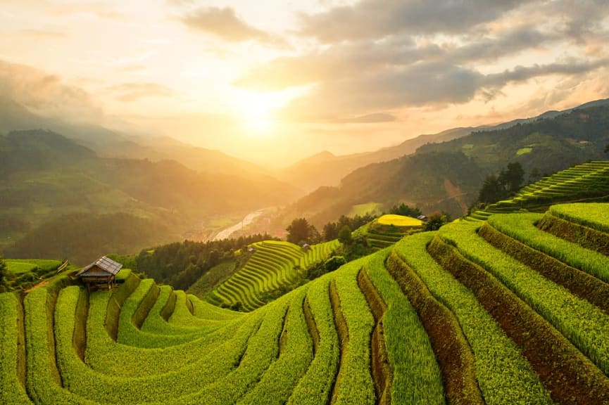 Rice terraces in the rural district of Mu Cang Chai in the Yen Bai province of Vietnam