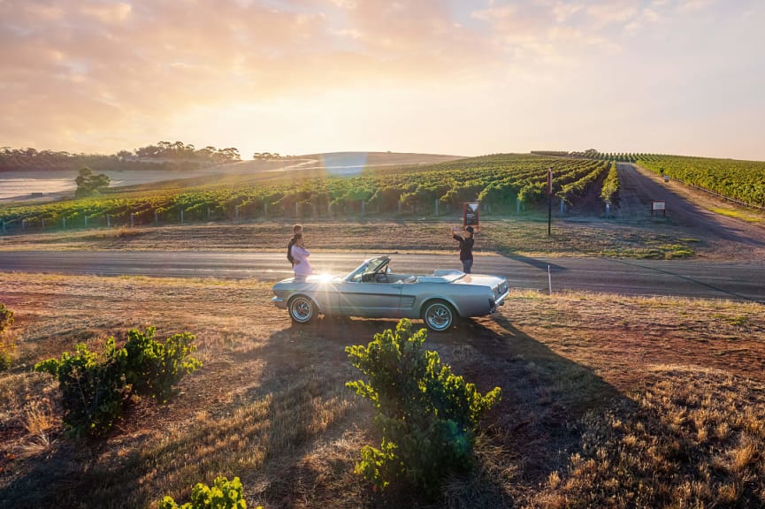 Driver of private transfer taking a photo of a couple amoungst the vineyards in Barossa Valley, Australia