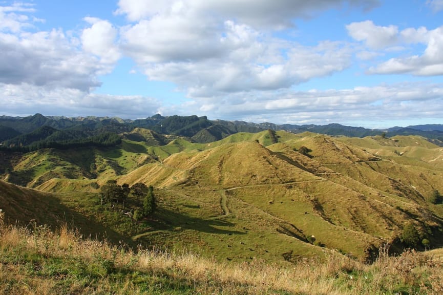 Landscape in Whanganui, New Zealand