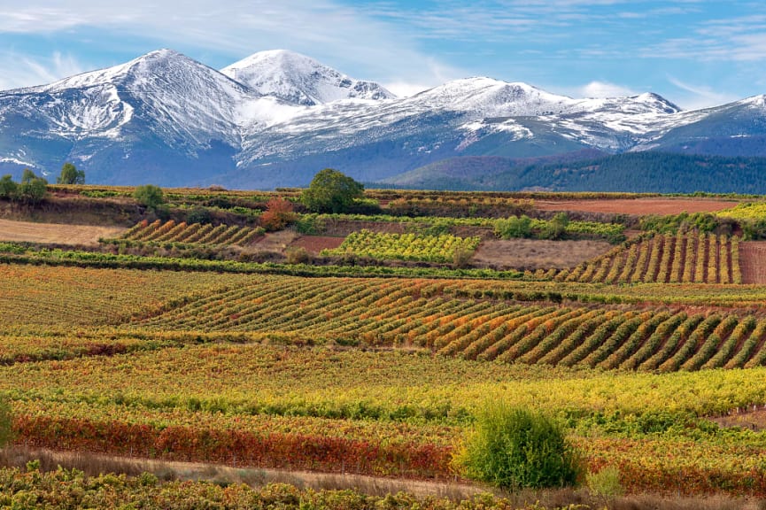 Vineyards on the background of Mount San Lorenzo, La Rioja, Spain