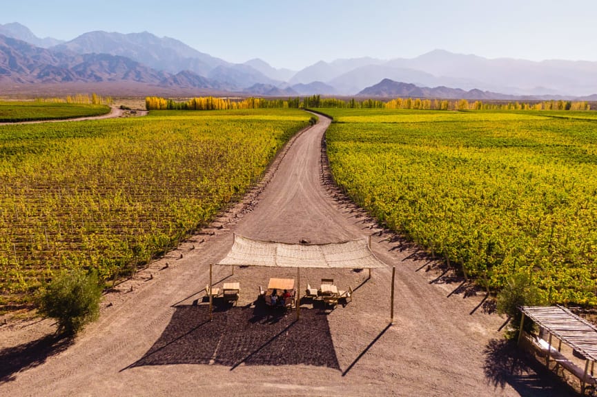 Outdoor seating at vineyard surrounded by mountains in Argentina