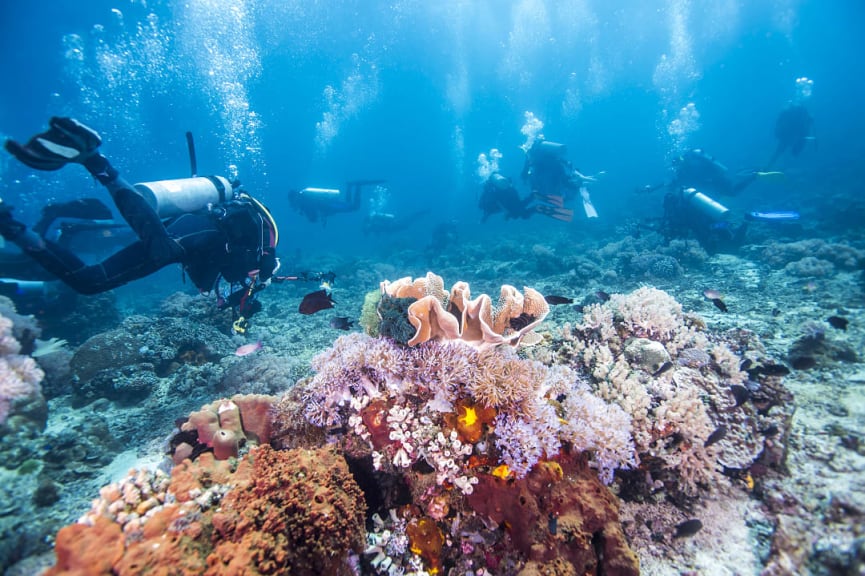 Scuba Diving in Fiji.