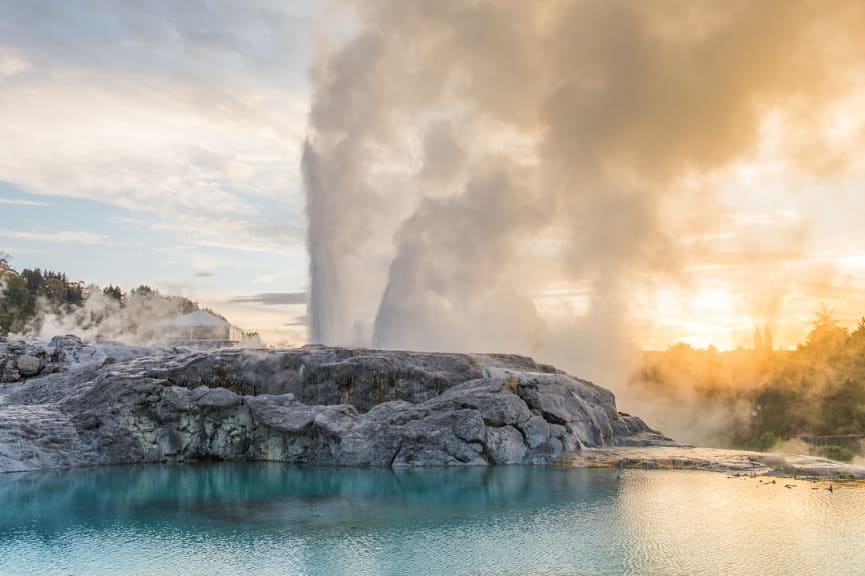 Pohutu geyser in the Whakarewarewa thermal valley, Rotorua, New Zealand. Photo courtesy of Te Puai.