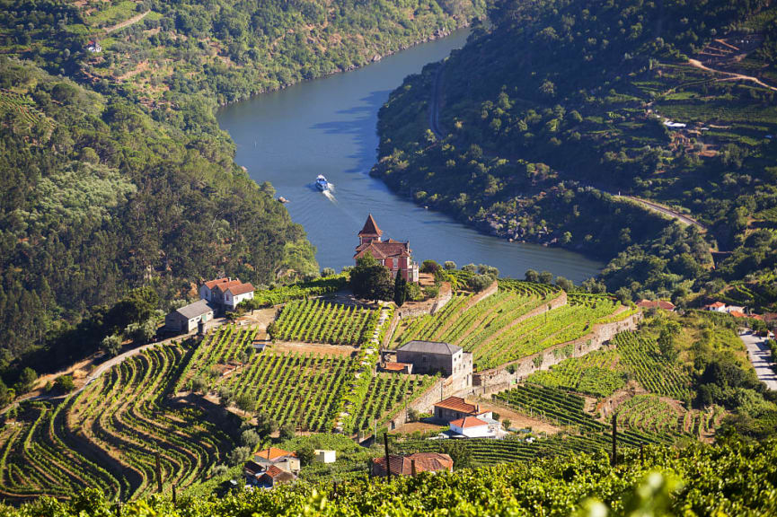 Vineyards in the Duoro valley with boat on the Duoro river in Portugal