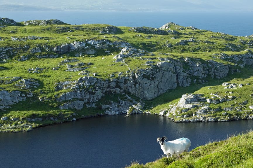 Sheep's Head Peninsula, County Cork, Ireland