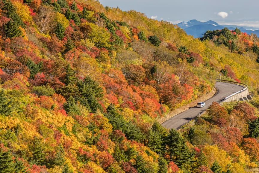 Driving through fall foliage in Fukushima, Japan